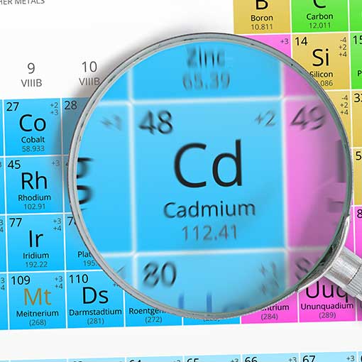 Cadmium et alimentation